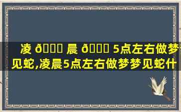 凌 🐘 晨 🐝 5点左右做梦梦见蛇,凌晨5点左右做梦梦见蛇什么意思